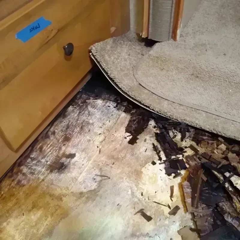 Best Wood Floor Water Damage Service in Lyford, TX